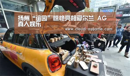 扬州“谊园”惊艳亮相爱尔兰_AG真人娱乐(图1) AG真人互动