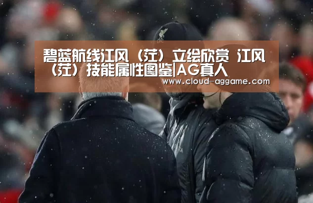 碧蓝航线江风(茳)立绘欣赏 江风(茳)技能属性图鉴|AG真人(图2) AG真人