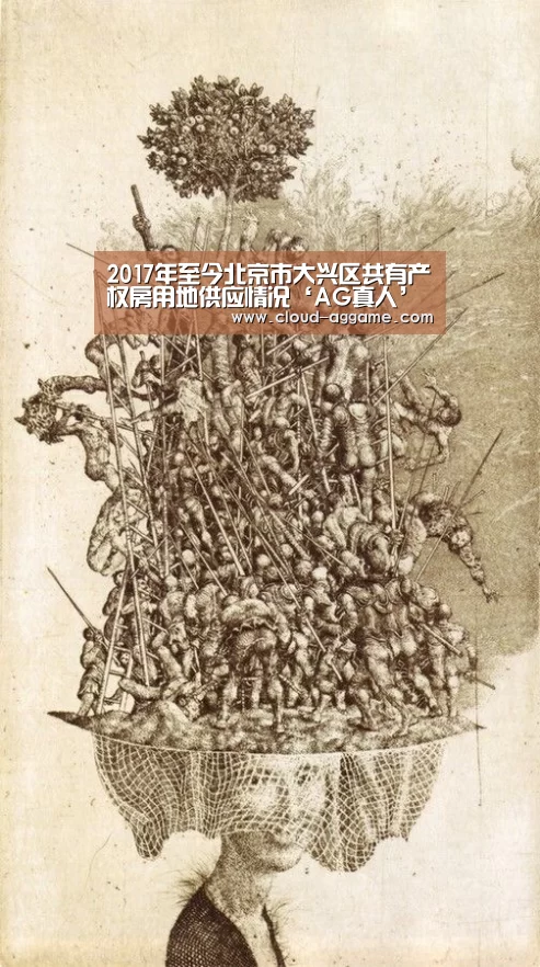 2017年至今北京市大兴区共有产权房用地供应情况‘AG真人’(图1) AG真人互动