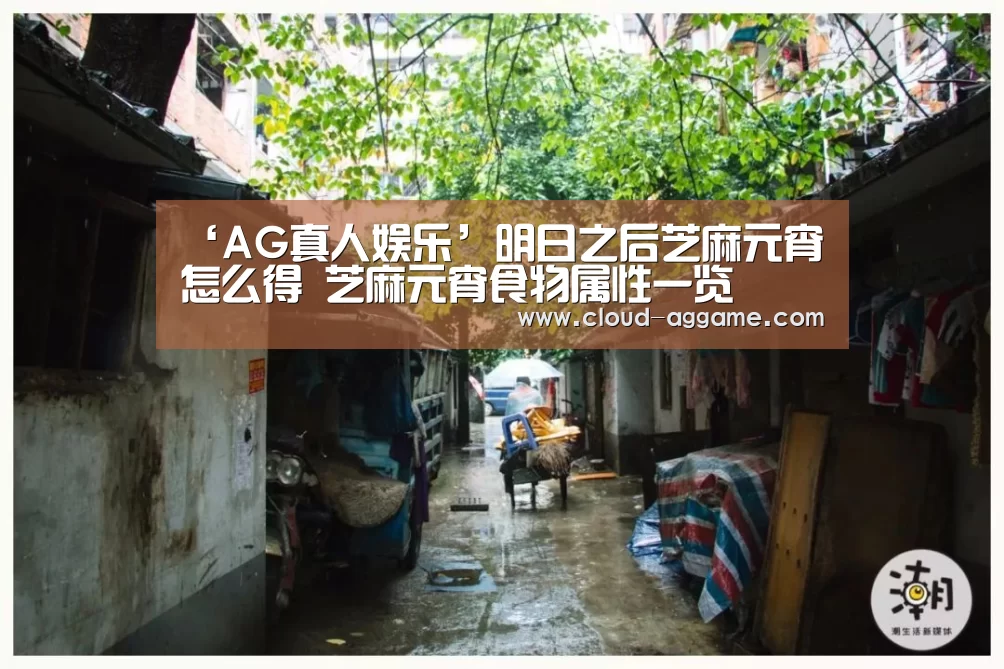 ‘AG真人娱乐’明日之后芝麻元宵怎么得 芝麻元宵食物属性一览(图1) AG真人