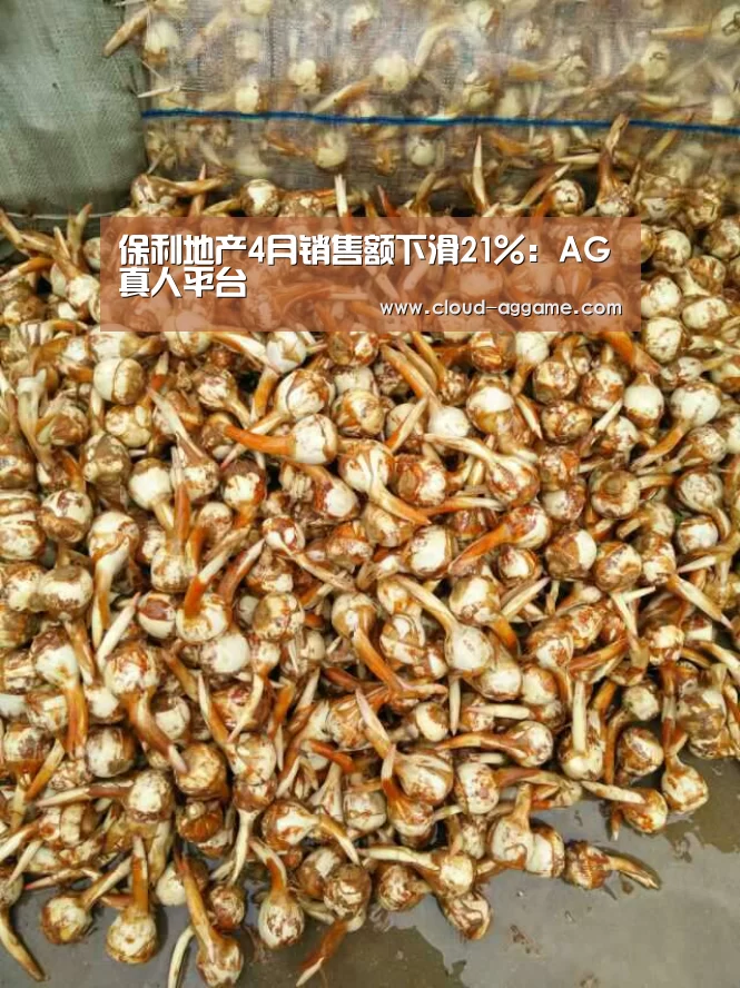 保利地产4月销售额下滑21%:AG真人平台(图3) AG真人互动